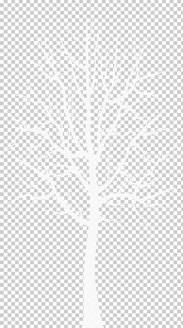 Twig White Plant Stem Leaf Line PNG, Clipart, Black And White, Branch, Leaf, Line, Plant Free PNG Download
