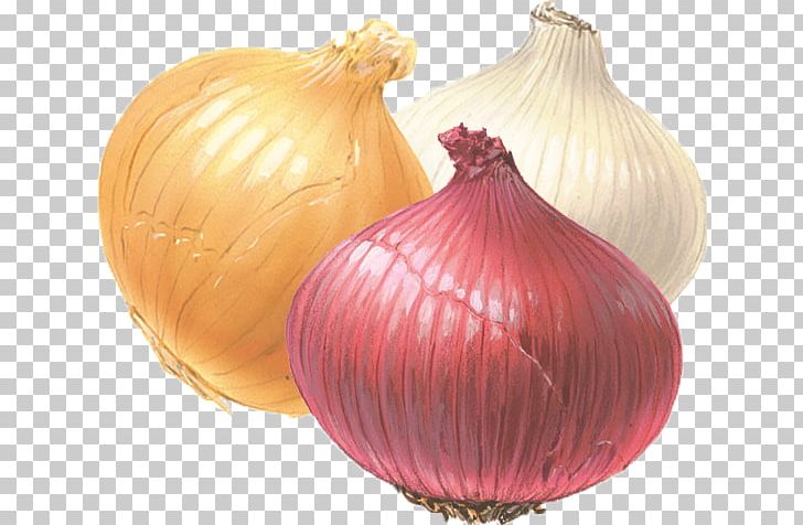 White Onion Yellow Onion Red Onion Fried Onion PNG, Clipart, Cheesesteak, Cooking, Dicing, Food, Fried Onion Free PNG Download