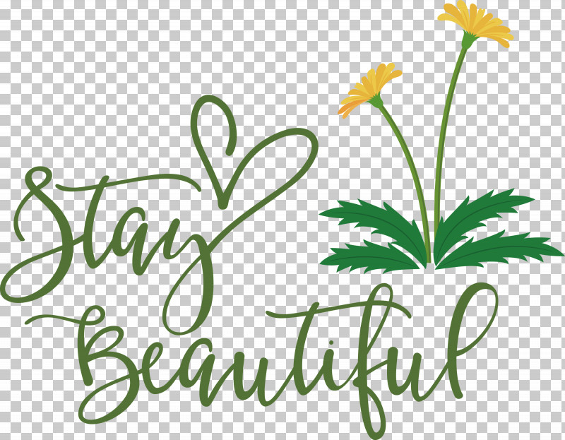 Stay Beautiful Fashion PNG, Clipart, Cut Flowers, Fashion, Floral Design, Flower, Herbal Medicine Free PNG Download