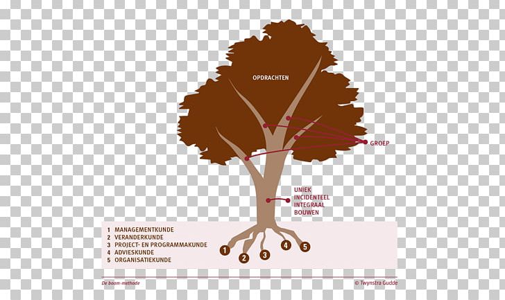 Tree PNG, Clipart, Art, Brand, Clip Art, Download, Drawing Free PNG Download