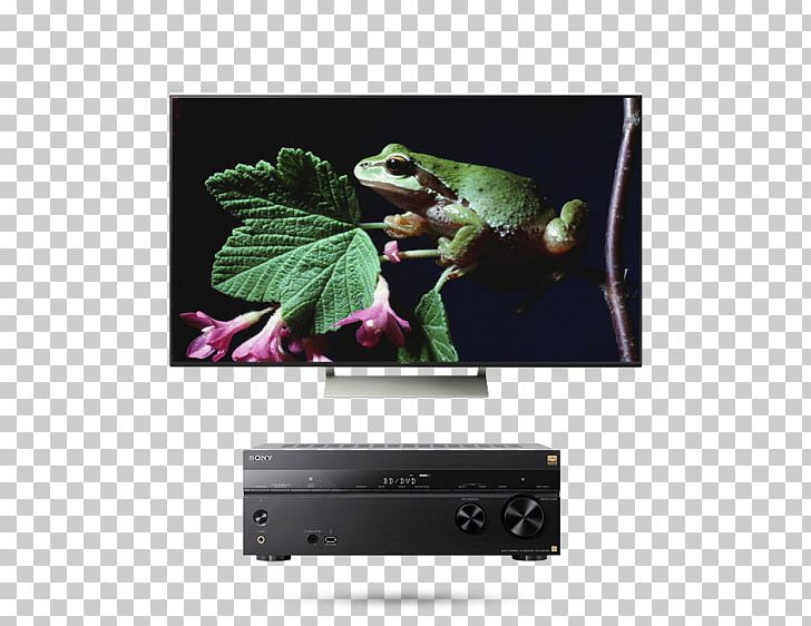 Ultra-high-definition Television 4K Resolution Bravia LED-backlit LCD PNG, Clipart, 4k Resolution, Bravia, Display Device, Electronics, Highdefinition Television Free PNG Download