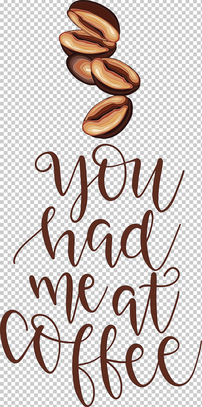 Calligraphy Line Meter Flower M PNG, Clipart, Calligraphy, Coffee, Coffee Quote, Flower, Geometry Free PNG Download