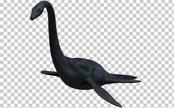 Elasmosaurus Rendering PNG, Clipart, 3d Computer Graphics, Amphibians, Animal, Animal Figure, Animals Free PNG Download