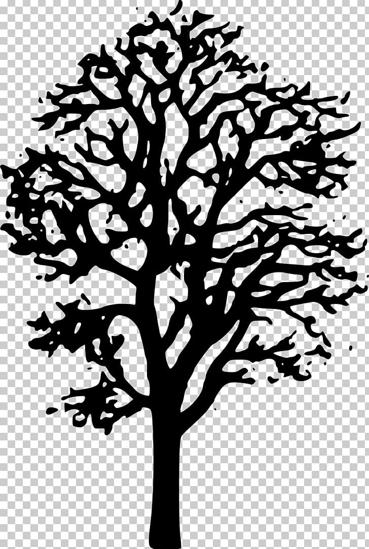 Japanese Maple Tree PNG, Clipart, Art, Autumn Leaf Color, Black And White, Branch, Flora Free PNG Download