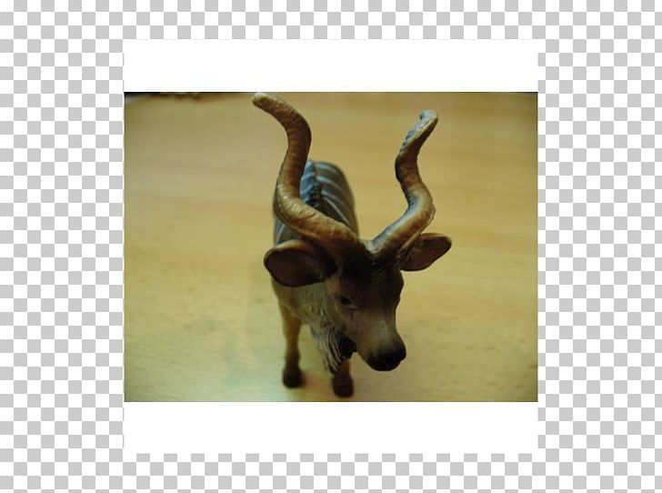 Reindeer Cattle Antelope Wildlife Terrestrial Animal PNG, Clipart, Animal, Antelope, Antler, Cartoon, Cattle Free PNG Download