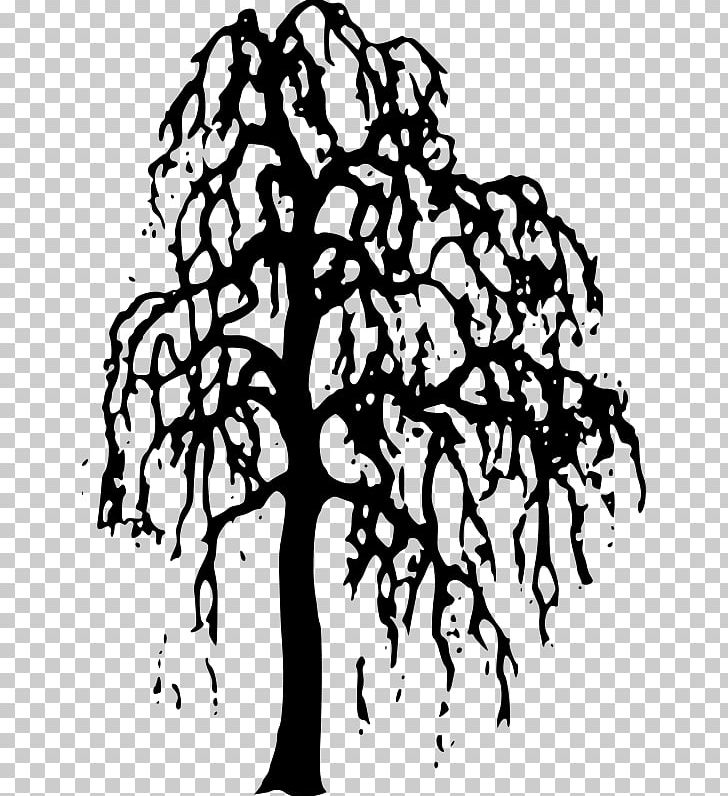 Tree Willow PNG, Clipart, Art, Artwork, Black And White, Branch, Drawing Free PNG Download