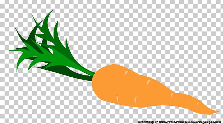 Carrot Vegetable Fruit PNG, Clipart, Archive File, Carrot, Carrot Juice, Download, Food Free PNG Download