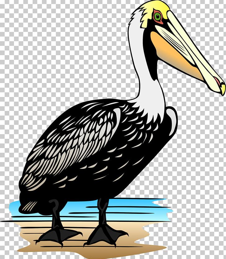 Pelican PNG, Clipart, Animals, Artwork, Beak, Bird, Cartoon Free PNG Download