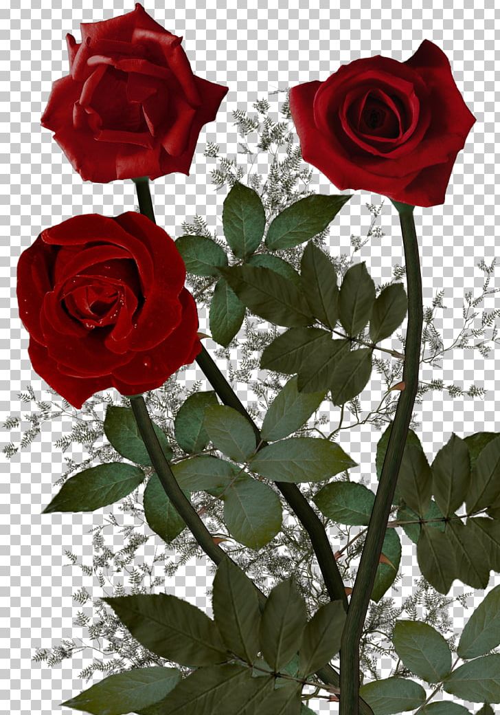 Cut Flowers Garden Roses PNG, Clipart, Animation, Centifolia Roses, Cut Flowers, Desktop Wallpaper, Floral Design Free PNG Download