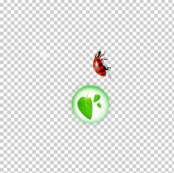 Insect Leaf Euclidean Icon PNG, Clipart, Animals, Autumn Leaves, Banana Leaves, Circle, Computer Wallpaper Free PNG Download