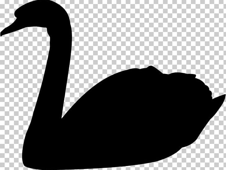 The Black Swan: The Impact Of The Highly Improbable Goose Trumpeter Swan Bird PNG, Clipart, Animals, Beak, Bird, Black And White, Black Swan Free PNG Download