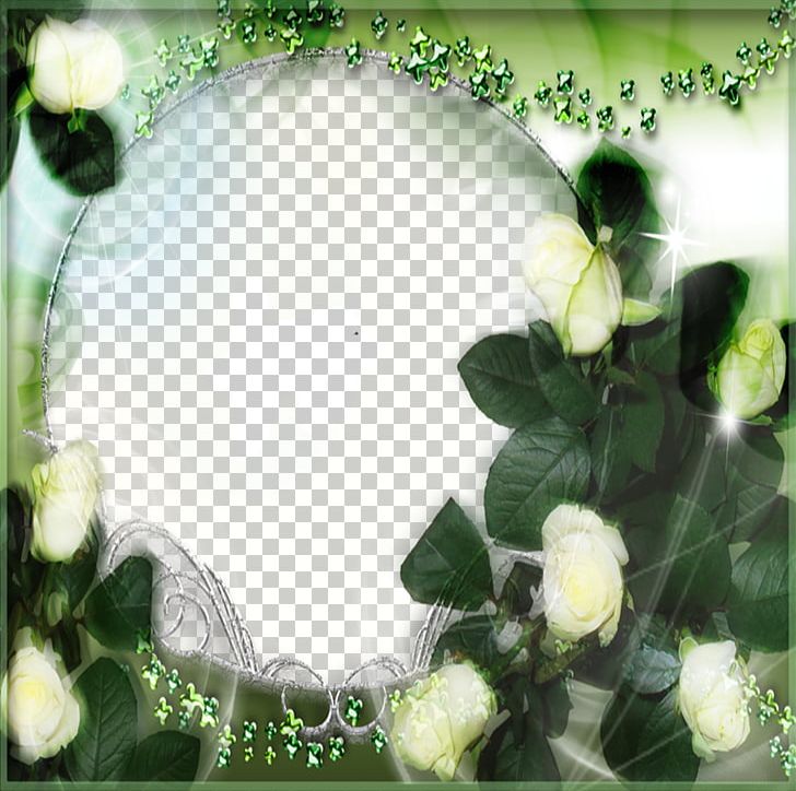 Beach Rose Green Floral Design White PNG, Clipart, Border Frame, Christmas Frame, Computer Wallpaper, Designer, Download Free PNG Download