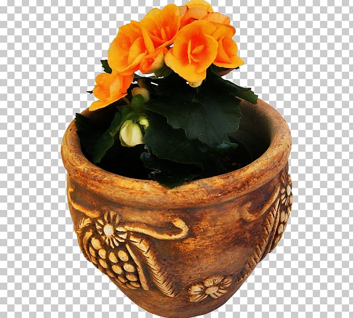 Flowerpot Houseplant Ornamental Plant Fig Trees PNG, Clipart, Aloe, Aloe Vera, Cactaceae, Cranesbill, Cyclamen Free PNG Download