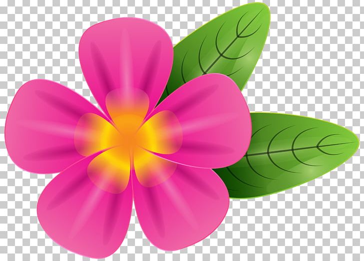 Frangipani Stock Photography PNG, Clipart, Clip Art, Clipart, Desktop Wallpaper, Encapsulated Postscript, Flower Free PNG Download