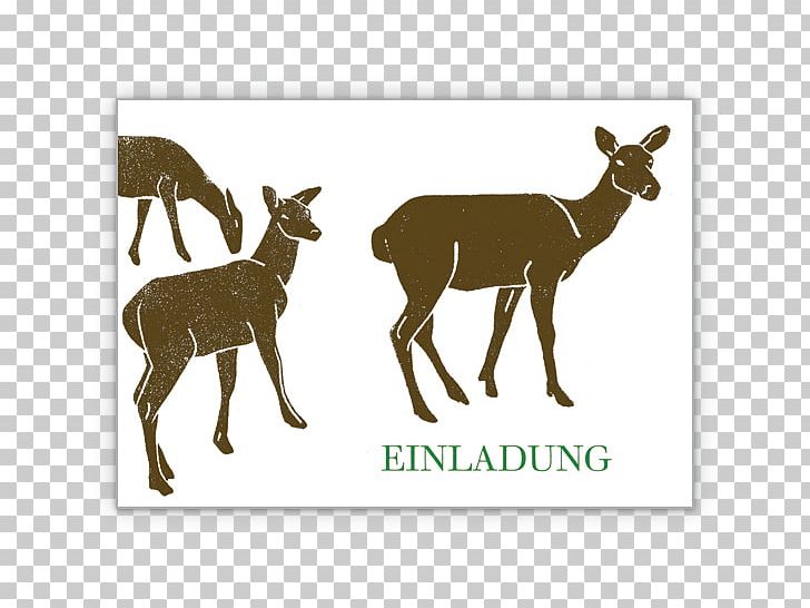 Hunting Convite Birthday Roe Deer Reindeer PNG, Clipart, Anniversary, Antelope, Antler, Bambi, Birthday Free PNG Download