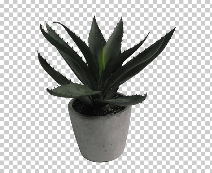 Aloe Vera Flowerpot Houseplant PNG, Clipart, Agave, Aloe, Aloe Capitata, Aloe Vera, Artificial Flower Free PNG Download