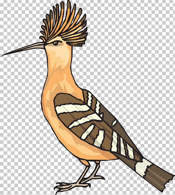 Bird Eurasian Hoopoe Drawing African Hoopoe PNG, Clipart, African Hoopoe, Animals, Art, Artwork, Beak Free PNG Download