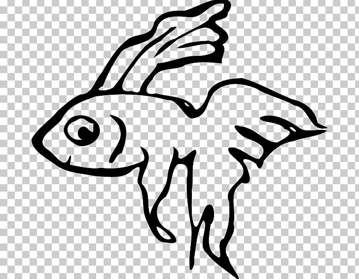 Koi Frog Fish PNG, Clipart, Animal, Animals, Art, Artwork, Beak Free PNG Download