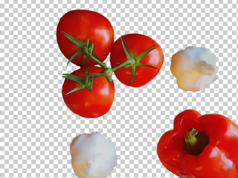 Tomato PNG, Clipart, Fruit, Genus, Local Food, Natural Food, Paint Free PNG Download