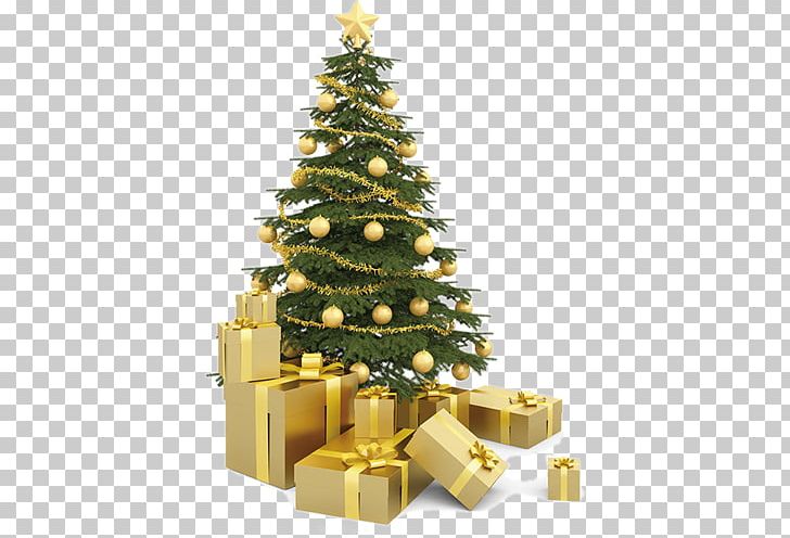 Christmas Tree Stock Photography Gift PNG, Clipart, Christmas, Christmas Decoration, Christmas Frame, Christmas Gift, Christmas Lights Free PNG Download