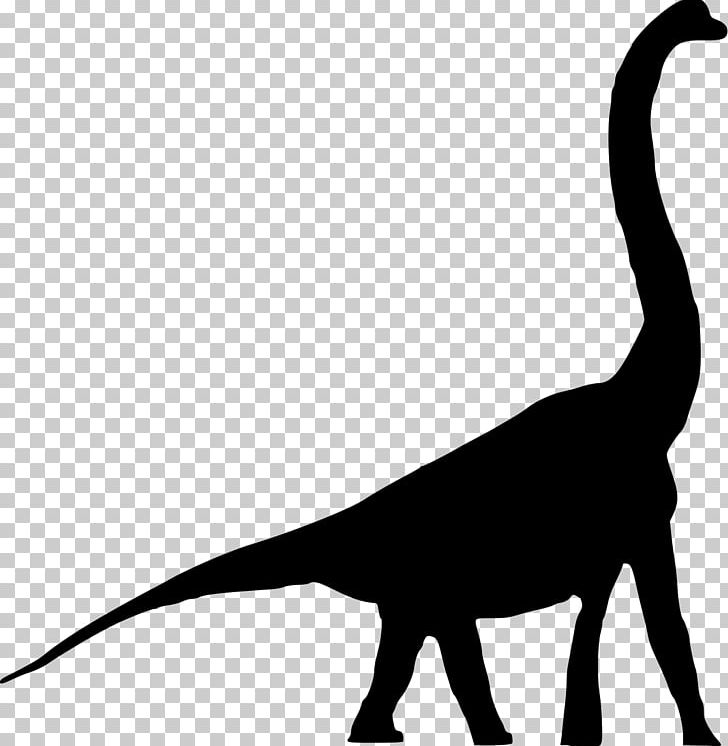 Daanosaurus Tyrannosaurus Brachiosaurus Sauropoda Bellusaurus PNG, Clipart, Animal, Black And White, Brachiosauridae, Daanosaurus, Dinosaur Free PNG Download