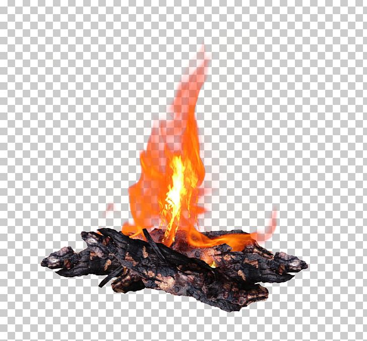 Flame Light PNG, Clipart, Animal Source Foods, Bird Cage, Bonfire, Burning Fire, Cage Free PNG Download