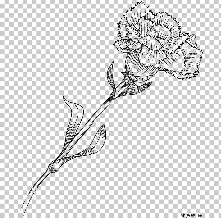 Floral Design Carnation Drawing Flower Monochrome PNG, Clipart, Artwork, Black And White, Branch, Carnation, Color Free PNG Download