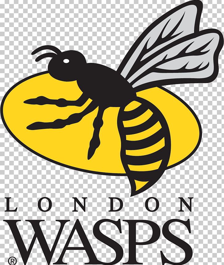 Wasps RFC London Irish Leicester Tigers English Premiership Ricoh Arena PNG, Clipart, Anglo Welsh Cup, Area, Artwork, Bee, Black And White Free PNG Download