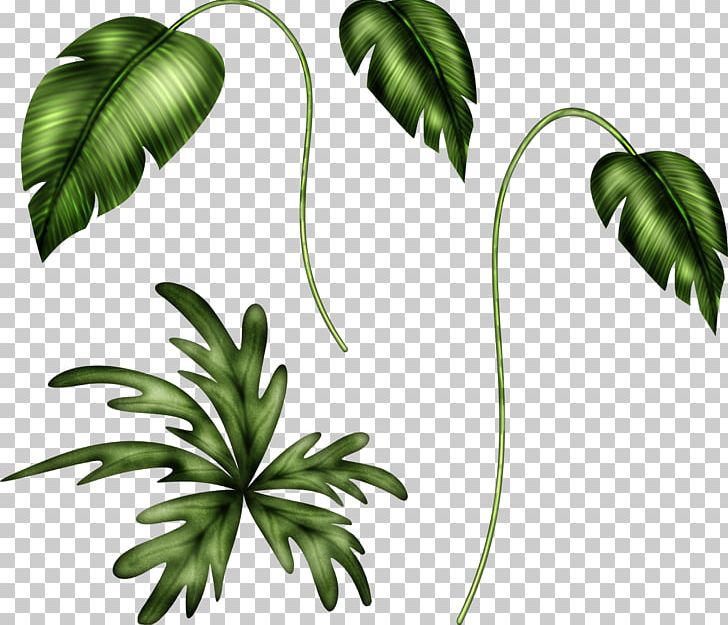 Branch Leaf Plant Stem PNG, Clipart, Branch, Depositfiles, Flora, Flower, Flowering Plant Free PNG Download