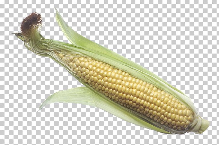 Corn On The Cob Maize Corncob Sweet Corn PNG, Clipart, Commodity, Cooking, Corncob, Corn On The Cob, Fish Free PNG Download
