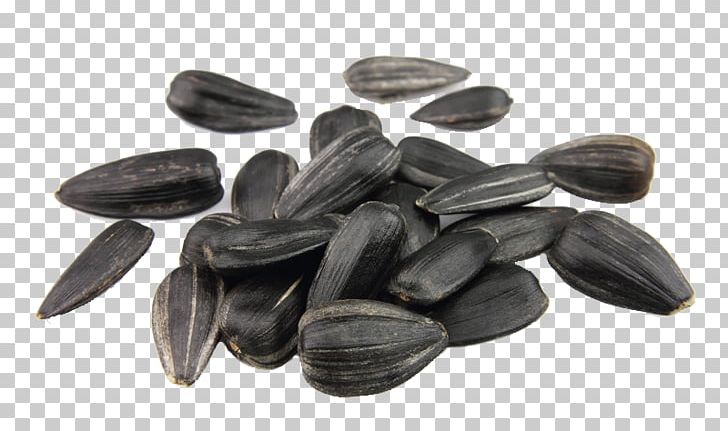 Nut Sunflower Seed Halva Common Sunflower PNG, Clipart, Black And White, Carbohydrate, Common Sunflower, Cucurbita, Depositphotos Free PNG Download