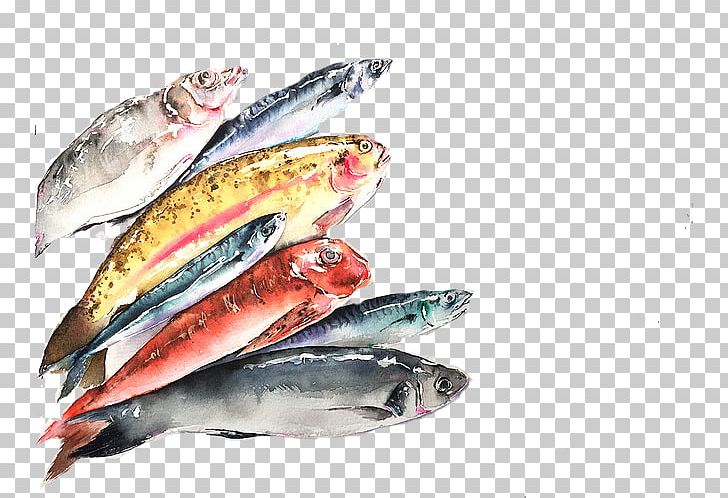 Pacific Saury Sardine Fish Products Mackerel Oily Fish PNG, Clipart, Animal, Animals, Animal Source Foods, Aquatic, Aquatic Product Free PNG Download