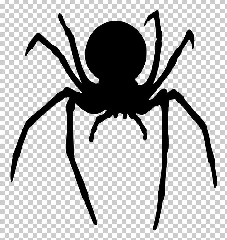 Redback Spider Southern Black Widow Latrodectus Hesperus Spider Web PNG, Clipart, Arachnid, Arthropod, Artwork, Black And White, Child Free PNG Download