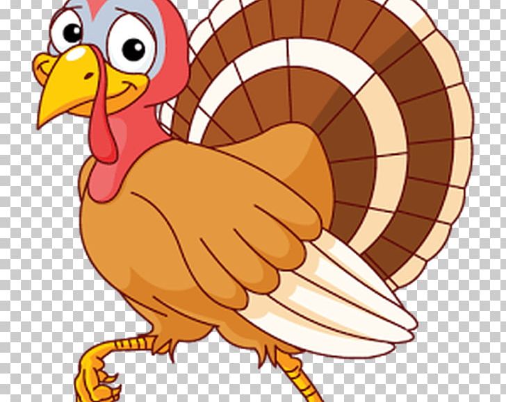 Turkey Meat Thanksgiving PNG, Clipart, Artwork, Beak, Bird, Chicken, Download Free PNG Download