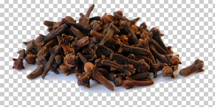 Clove Indian Cuisine Spice Herb Condiment PNG, Clipart, Assam Tea, Cinnamomum Verum, Cinnamon, Clove, Cloves Free PNG Download
