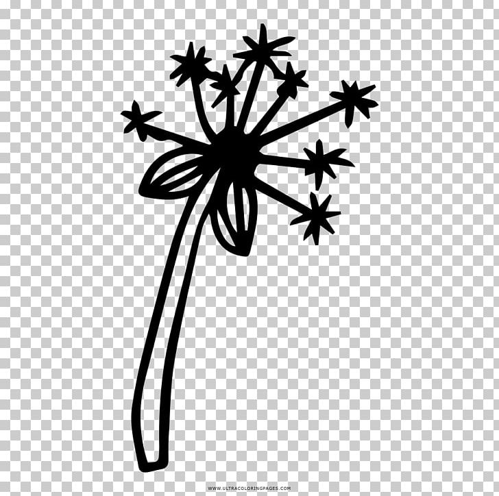 Common Dandelion Drawing Coloring Book Painting PNG, Clipart, Black And White, Branch, Coloring Book, Common Dandelion, Cross Free PNG Download