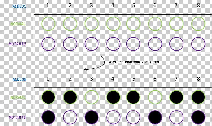 Dot Blot Northern Blot Southern Blot Hybridization Probe PNG, Clipart, Angle, Area, Biology, Biomolecule, Blot Free PNG Download