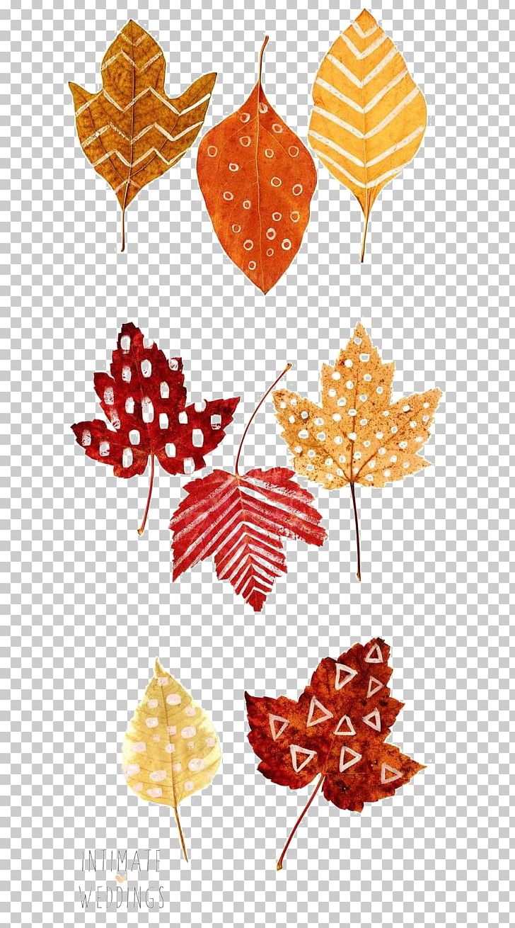 Thanksgiving Autumn Leaf Color Place Card Drawing PNG, Clipart, Art, Autumn, Autumn Leaf Color, Autumn Leaves, Bulb Free PNG Download