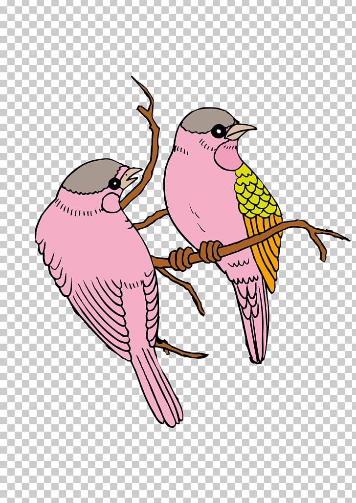 Bird Euclidean PNG, Clipart, Animals, Art, Asuka, Beak, Bird Cage Free PNG Download