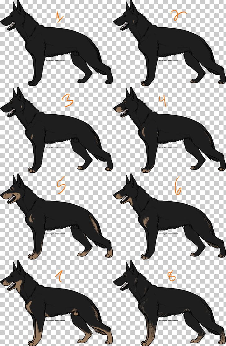 Old German Shepherd Dog Dog Breed Australian Cattle Dog Herding Dog PNG, Clipart, Animal, Australian Cattle Dog, Breed, Carnivoran, Coat Free PNG Download