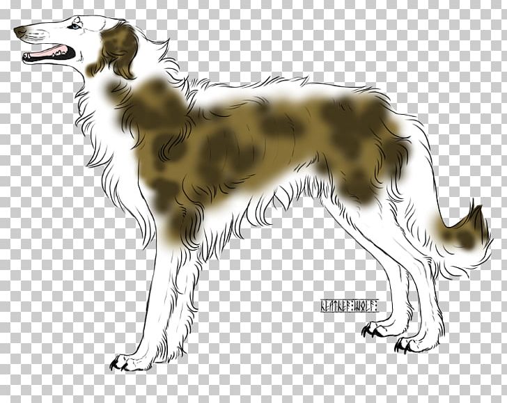 Silken Windhound Borzoi Saluki Dog Breed Rare Breed (dog) PNG, Clipart, Afghan Hound, Borzoi, Breed, Breed Group Dog, Carnivoran Free PNG Download