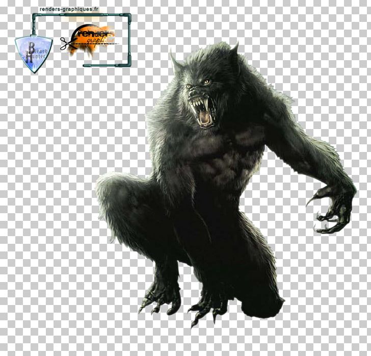 Werewolf Gray Wolf Drawing PNG, Clipart, Chimpanzee, Clip Art, Common Chimpanzee, Desktop Wallpaper, Drawing Free PNG Download