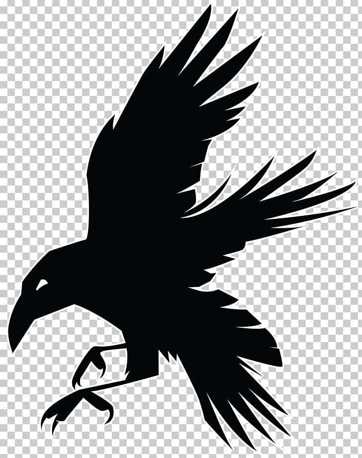 Logo Drawing PNG, Clipart, Art, Bald Eagle, Beak, Bird, Bird Of Prey Free PNG Download