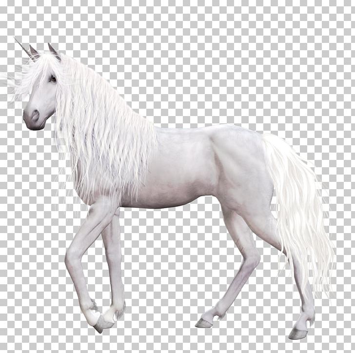 Horse Unicorn Pegasus PNG, Clipart, Animal Figure, Animals, Art, Black And White, Clip Art Free PNG Download