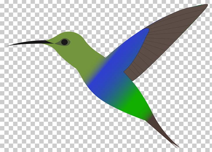 Hummingbird Free Content PNG, Clipart, Beak, Bird, Blog, Drawing, Fauna Free PNG Download