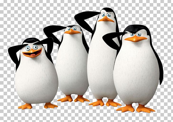 Kowalski Penguin Madagascar DreamWorks PNG, Clipart, Animal, Animals, Animation, Beak, Bird Free PNG Download
