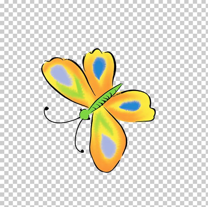 Butterfly Group Insects Symmetry PNG, Clipart, Blue Butterfly, Butterflies, Butterfly, Butterfly Group, Butterfly Wings Free PNG Download