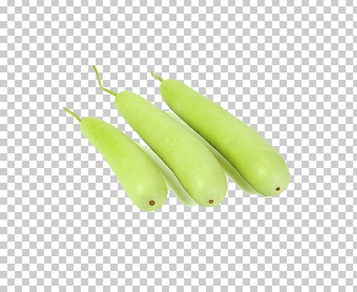 Calabash Gourd Vegetable Cucurbitaceae Bottle PNG, Clipart, Banana, Banana Family, Bottle, Bottle Gourd, Business Free PNG Download