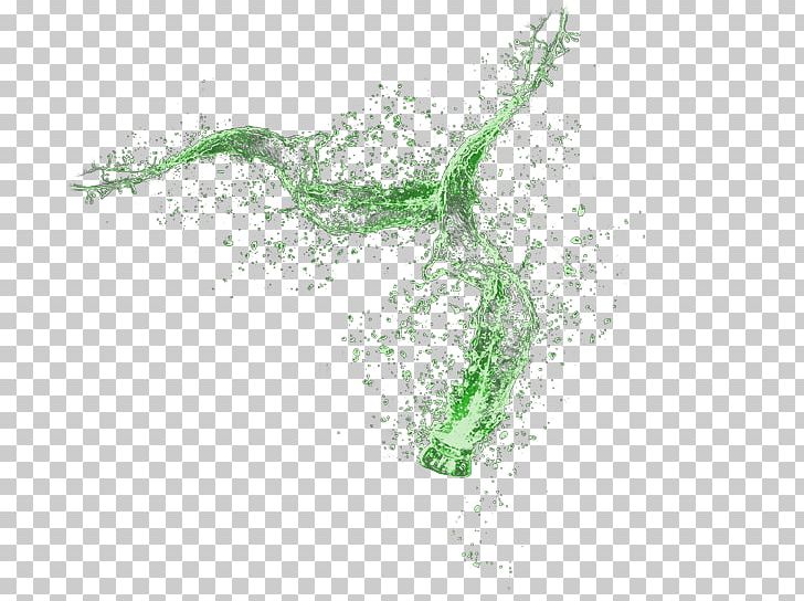 Leaf Water Tree PNG, Clipart, Grass, Green, Leaf, Orangina, Organism Free PNG Download