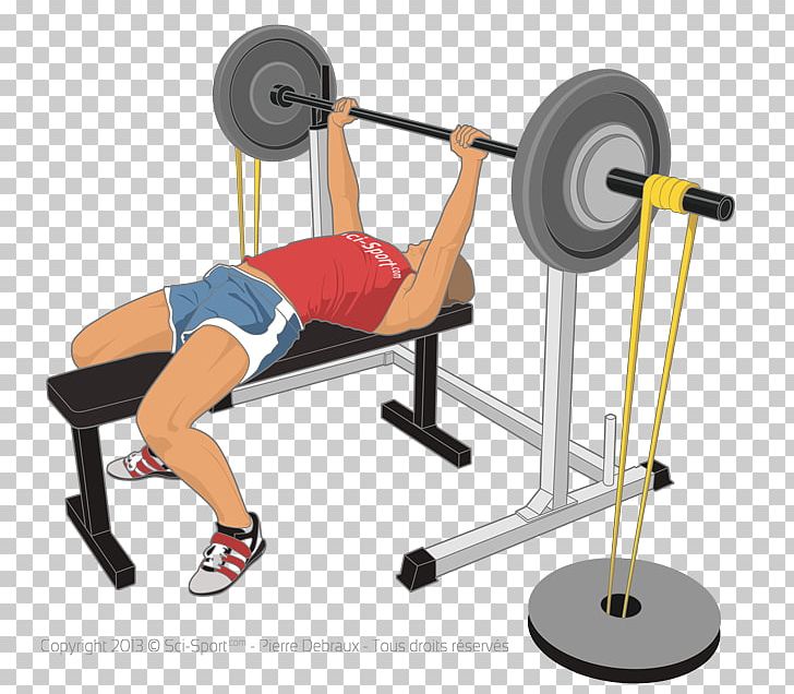 Les Bandes élastiques: Approche Scientifique De La Performance PNG, Clipart, Angle, Arm, Balance, Barbell, Barbell Bench Press Free PNG Download